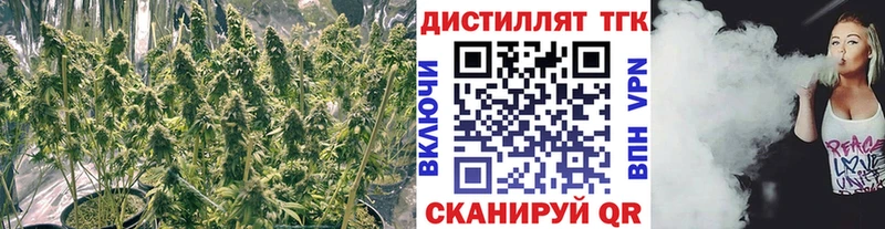 Дистиллят ТГК концентрат  Шелехов 